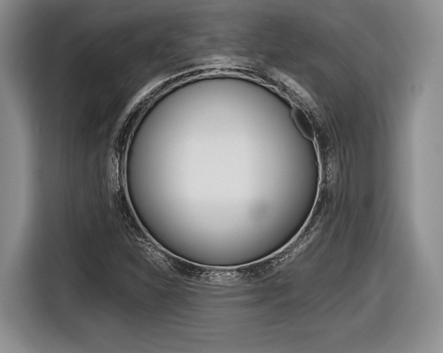 X0000116441310200912081345