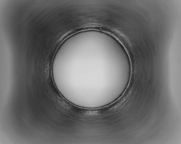X0000116441313200912081345