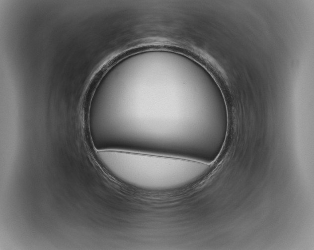 X0000116441318200912081345