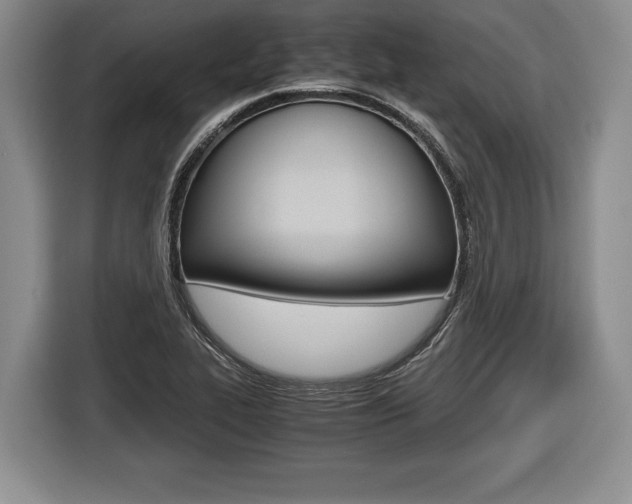X0000116441319200912081345