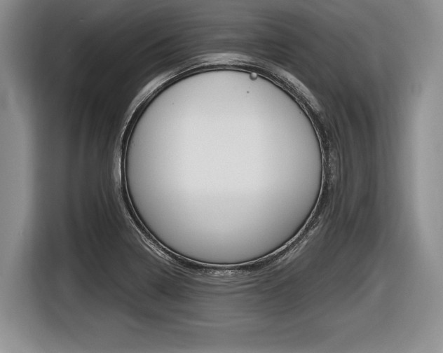 X0000116441322200912081345