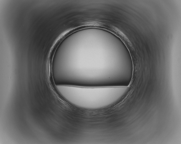 X0000116441323200912081345