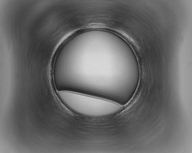 X0000116441325200912081345