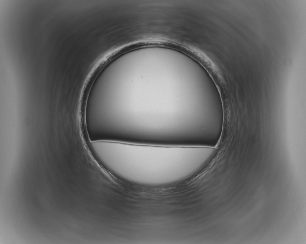 X0000116441327200912081345