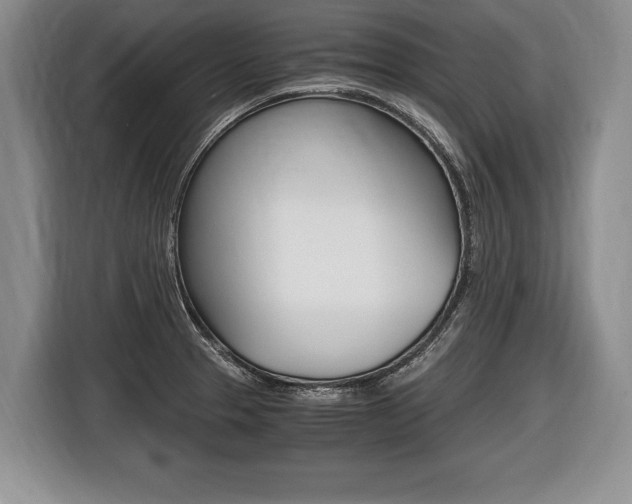 X0000116441329200912081345