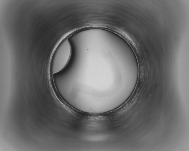 X0000116441331200912081345