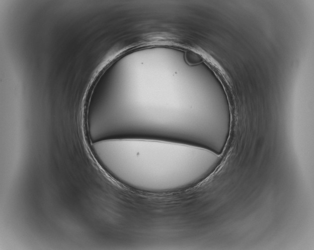 X0000116441333200912081345