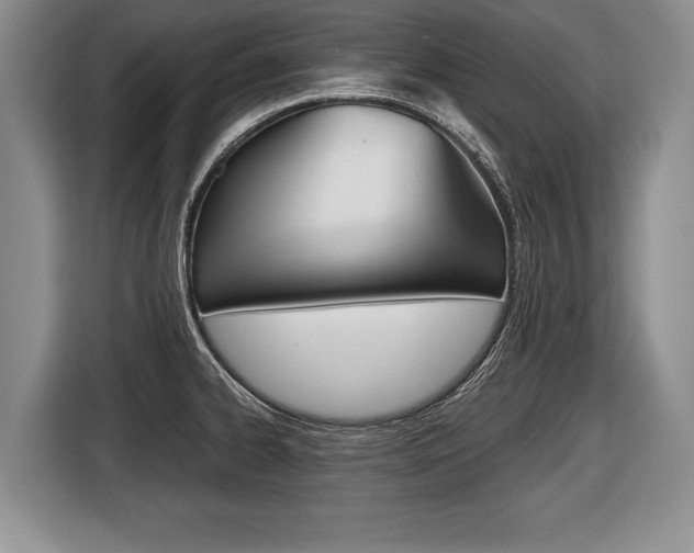 X0000116441334200912081345