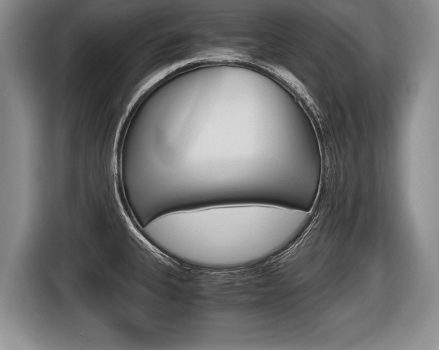 X0000116441335200912081345