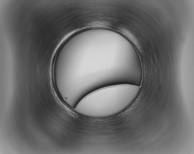 X0000116441339200912081345