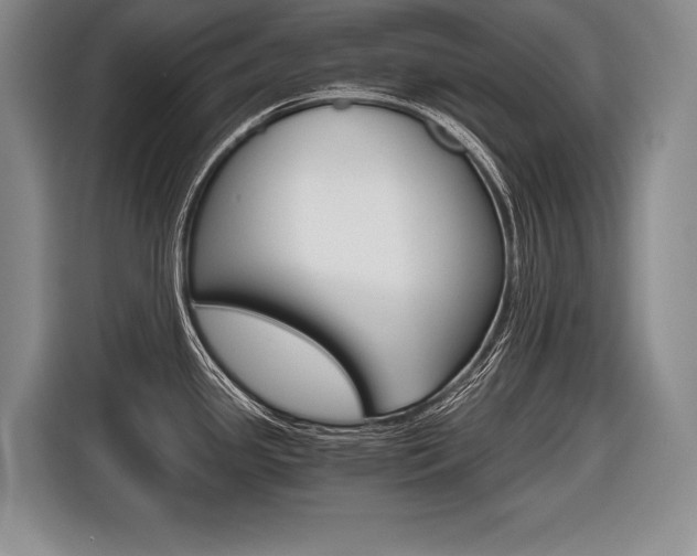 X0000116441341200912081345