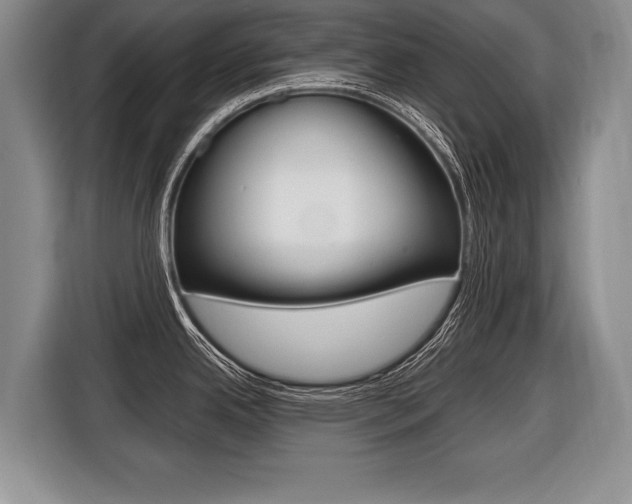 X0000116441342200912081345