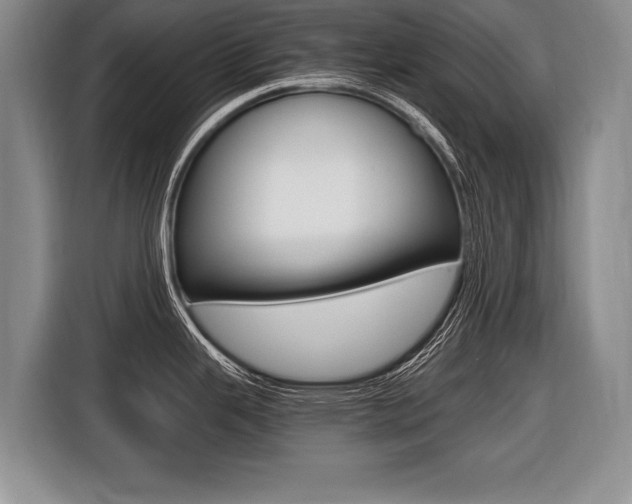 X0000116441343200912081345
