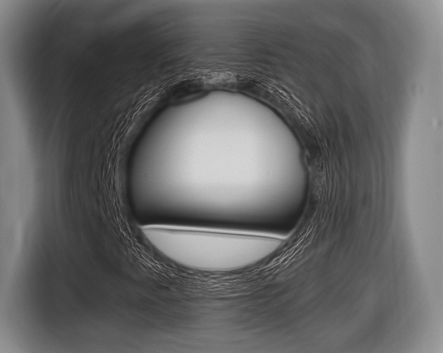 X0000116441345200912081344