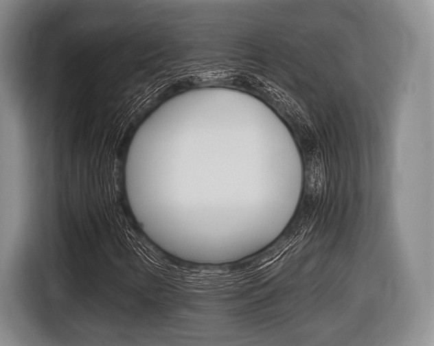 X0000116441346200912081344