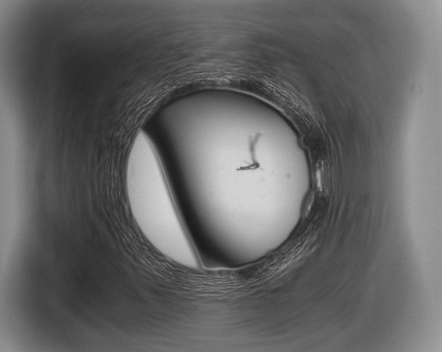 X0000116441347200912081344