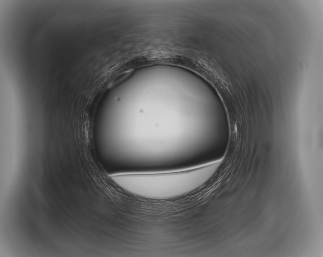 X0000116441348200912081344