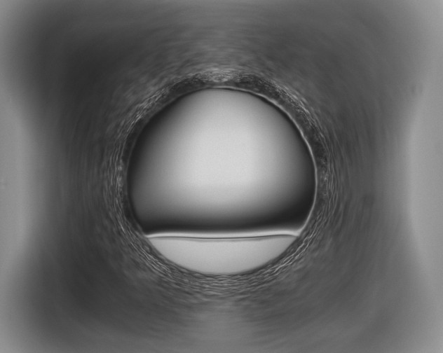 X0000116441349200912081344