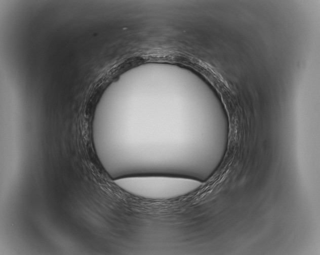 X0000116441350200912081344
