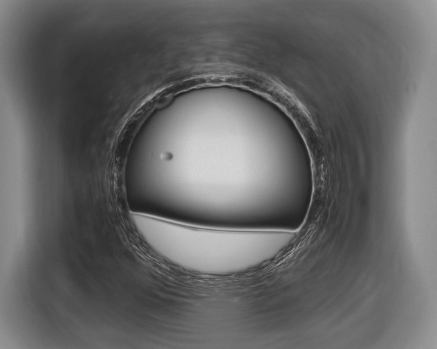X0000116441352200912081344