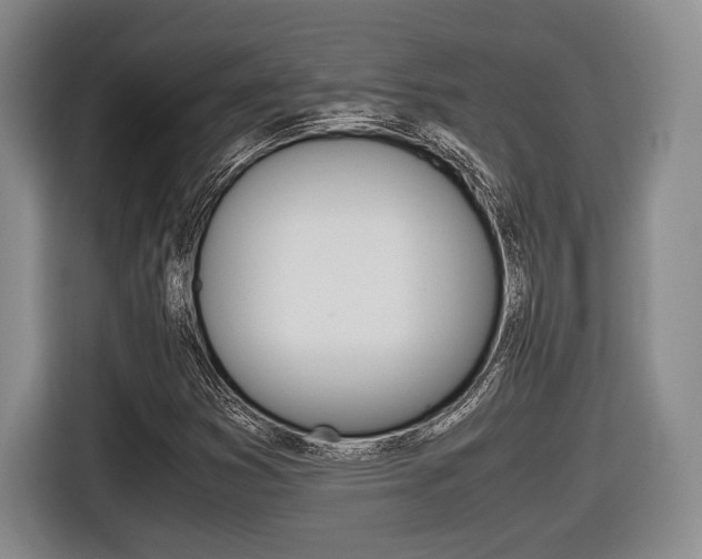 X0000116441353200912081344