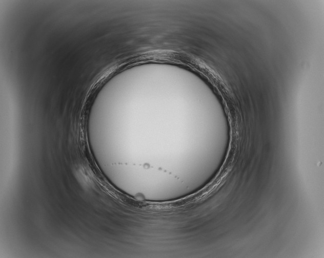 X0000116441354200912081344