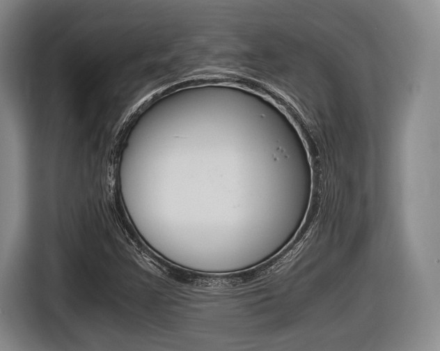 X0000116441355200912081344