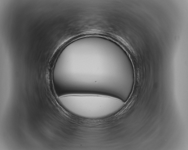 X0000116441356200912081344