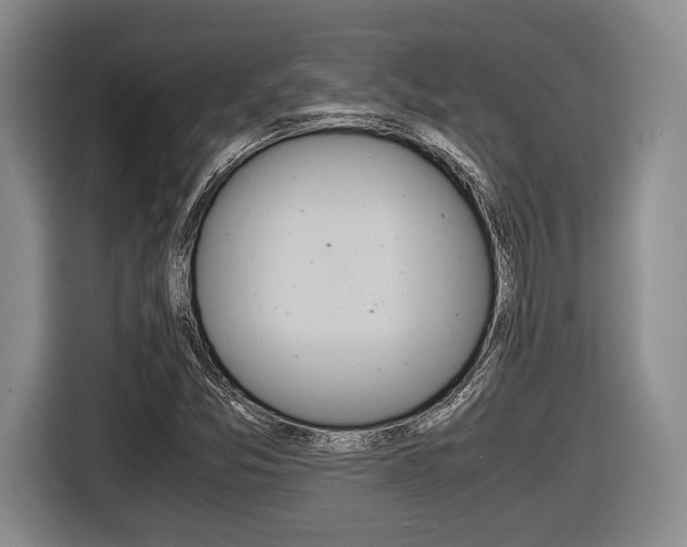 X0000116441357200912081344