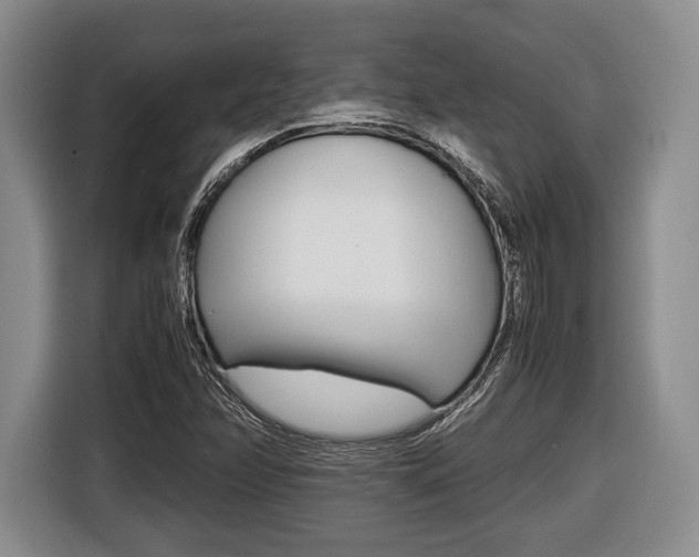 X0000116441358200912081344