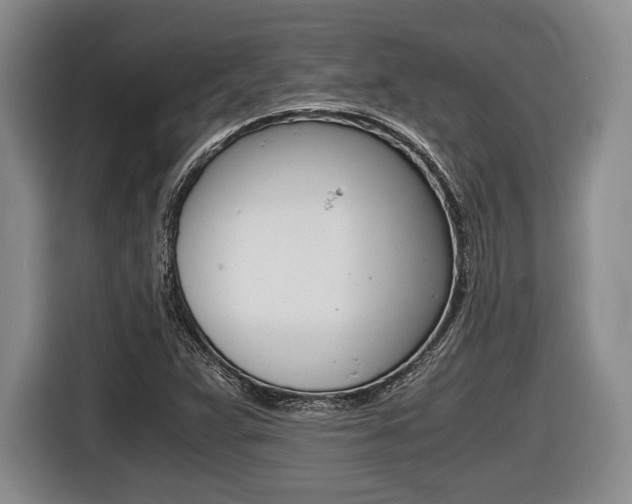 X0000116441359200912081344