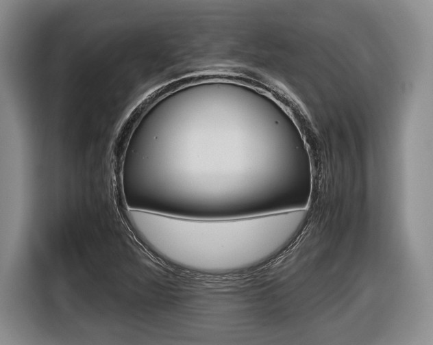 X0000116441360200912081344