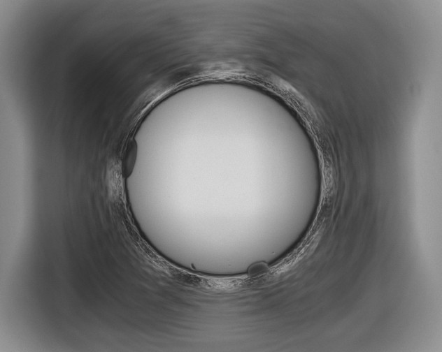 X0000116441361200912081344
