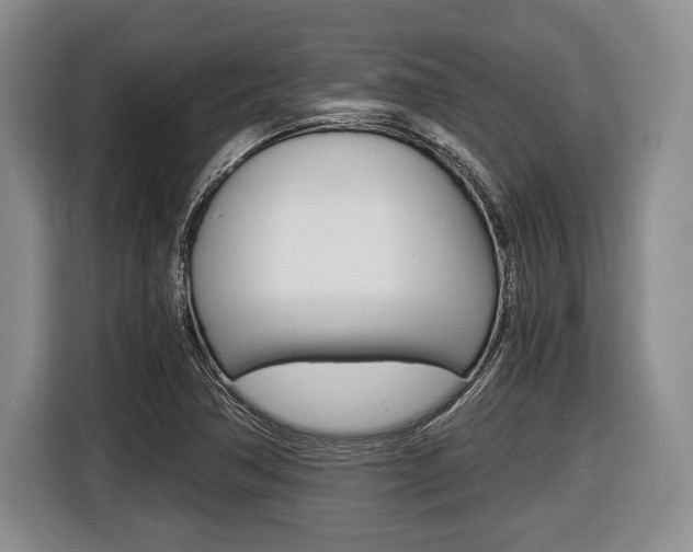 X0000116441362200912081344