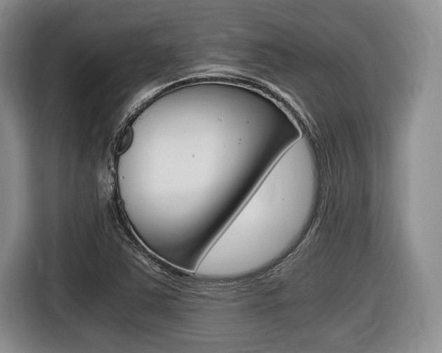 X0000116441363200912081344
