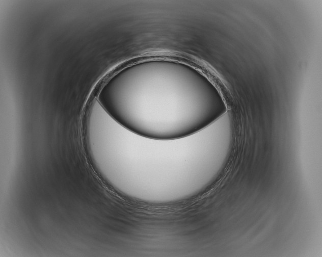 X0000116441364200912081344