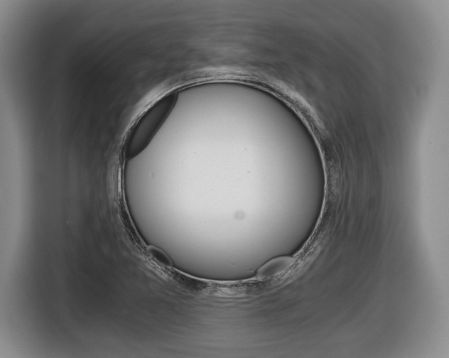 X0000116441365200912081344