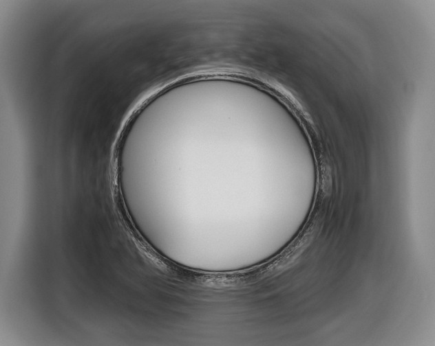 X0000116441366200912081344