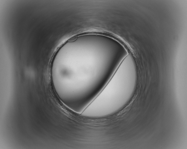 X0000116441367200912081344