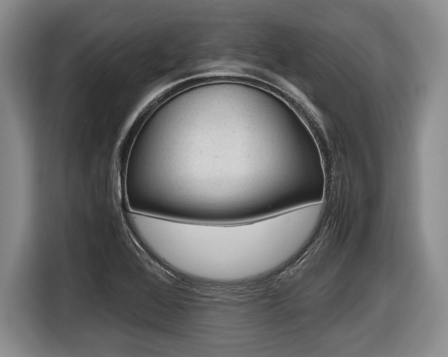 X0000116441368200912081344