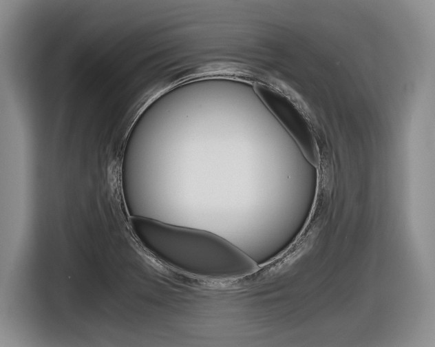 X0000116441369200912081344