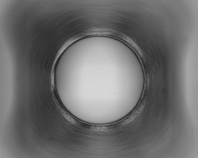 X0000116441370200912081344