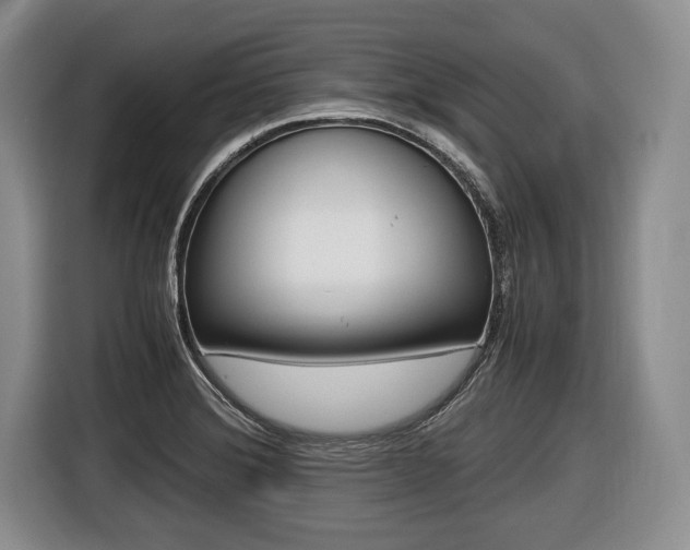 X0000116441372200912081344
