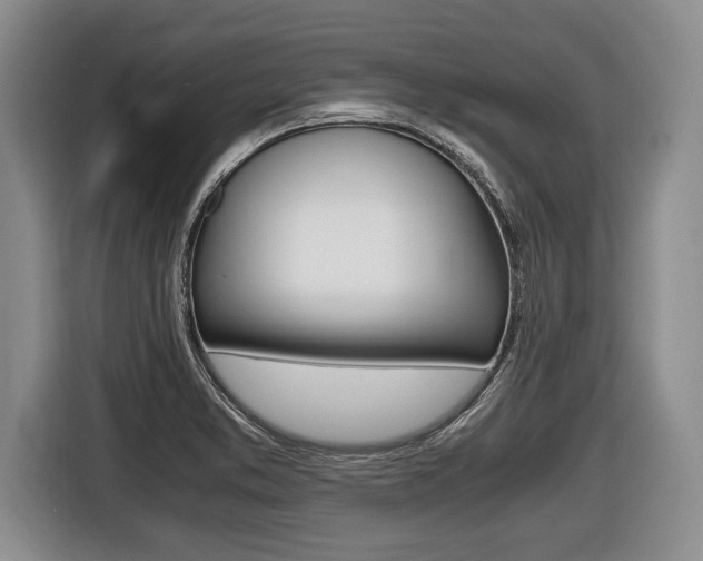 X0000116441373200912081344