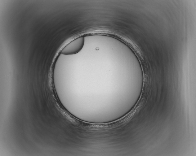 X0000116441374200912081344