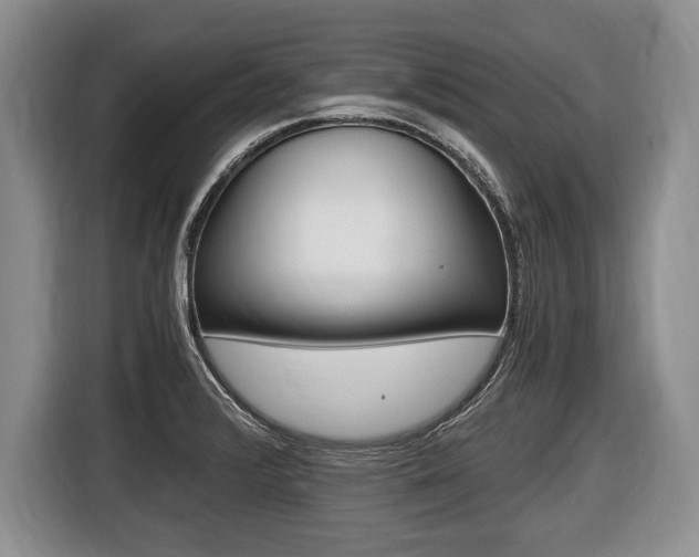 X0000116441376200912081344