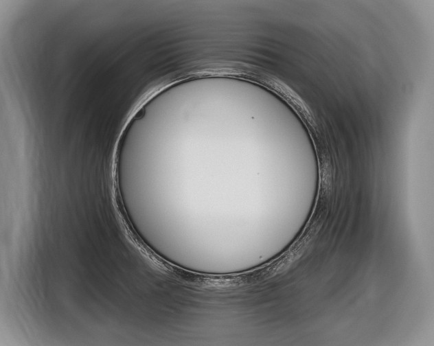 X0000116441378200912081344