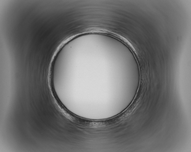 X0000116441379200912081344
