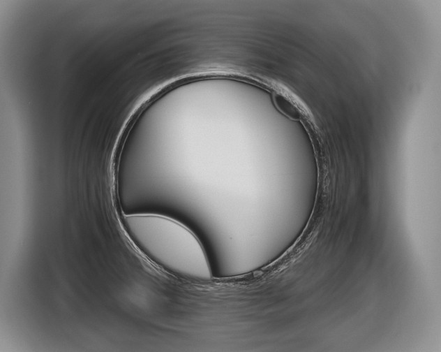 X0000116441380200912081344