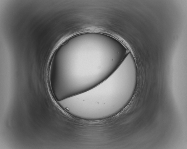 X0000116441381200912081344